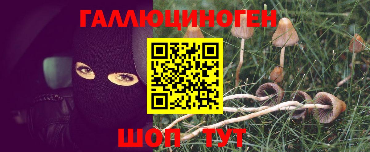 Всеволожск  Псилоцибиновые грибы ЛСД  Вход с VPN 